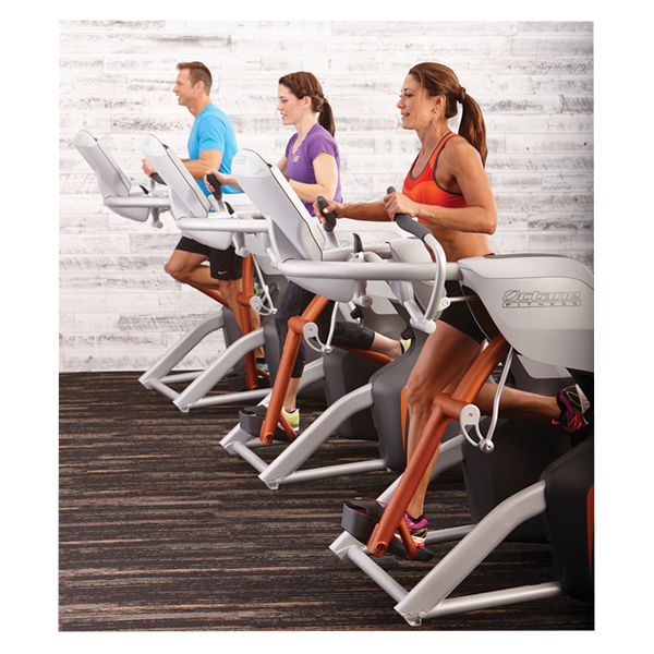 Эллиптический тренажер Octane Fitness ZR8000 STANDARD