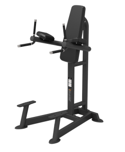 Пресс/брусья Spirit Fitness SP-4215